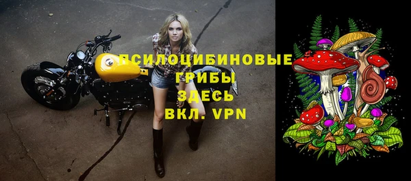 гидра Протвино