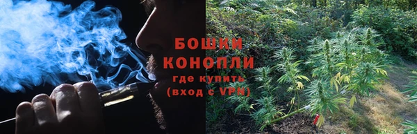 гидра Протвино